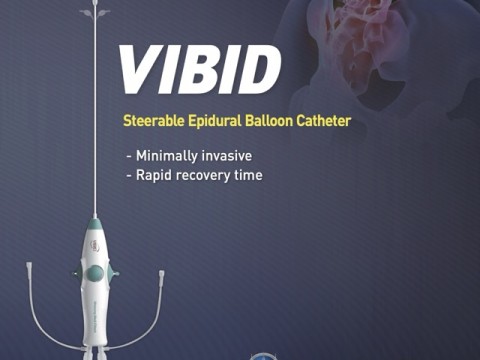 VIBID Steerable Epidural Balloon Catheter