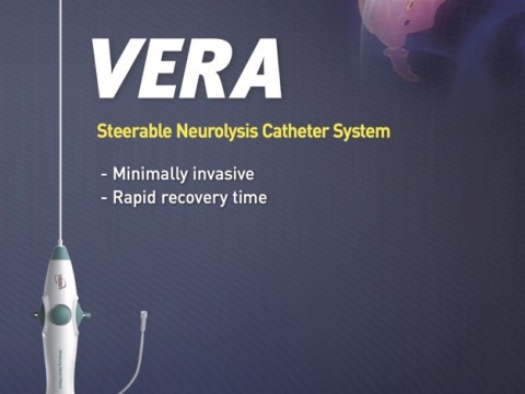VERA Steerable Neurolysis Catheter System